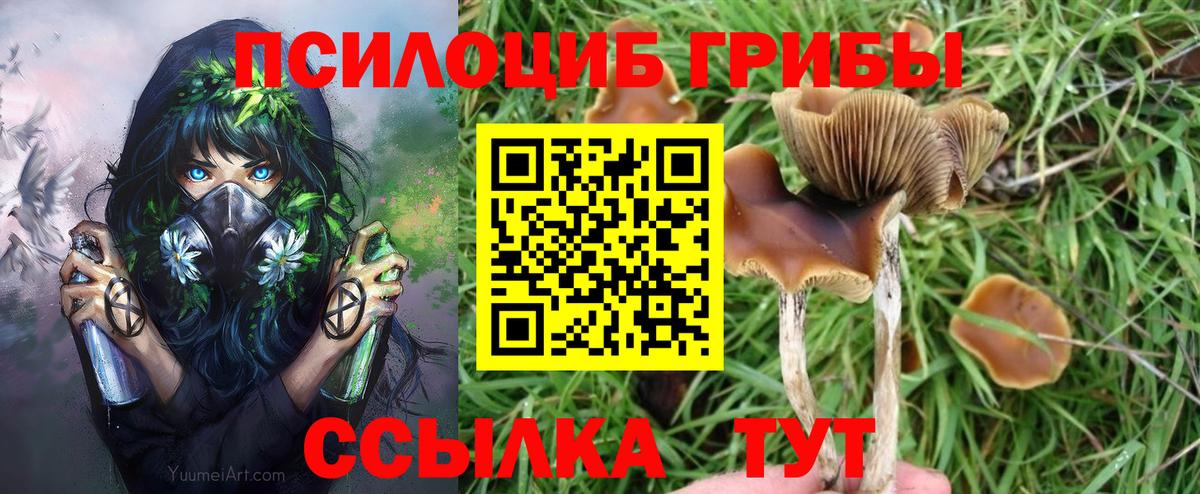 Псилоцибиновые грибы ЛСД  Вход с VPN  Майкоп 