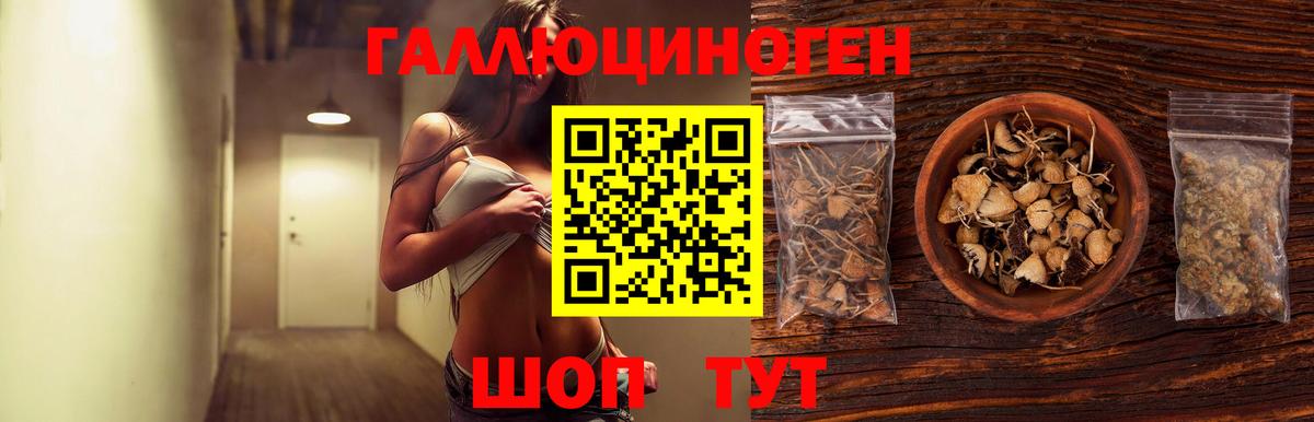 Псилоцибиновые грибы GOLDEN TEACHER Майкоп